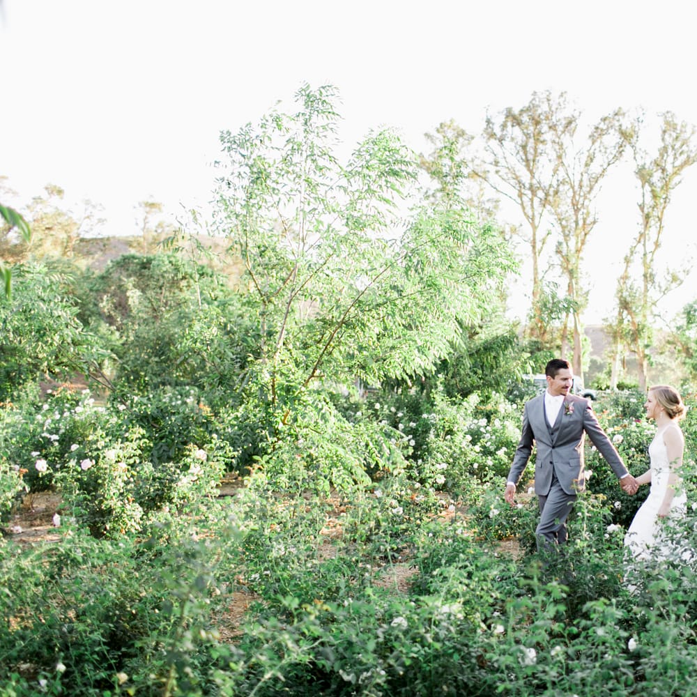 field/sandbox_californiaweddingday_com_239elwb01_blackmesh_com/2019/image/Walnut Grove Wedding- Lovisa Photo-114.jpg
