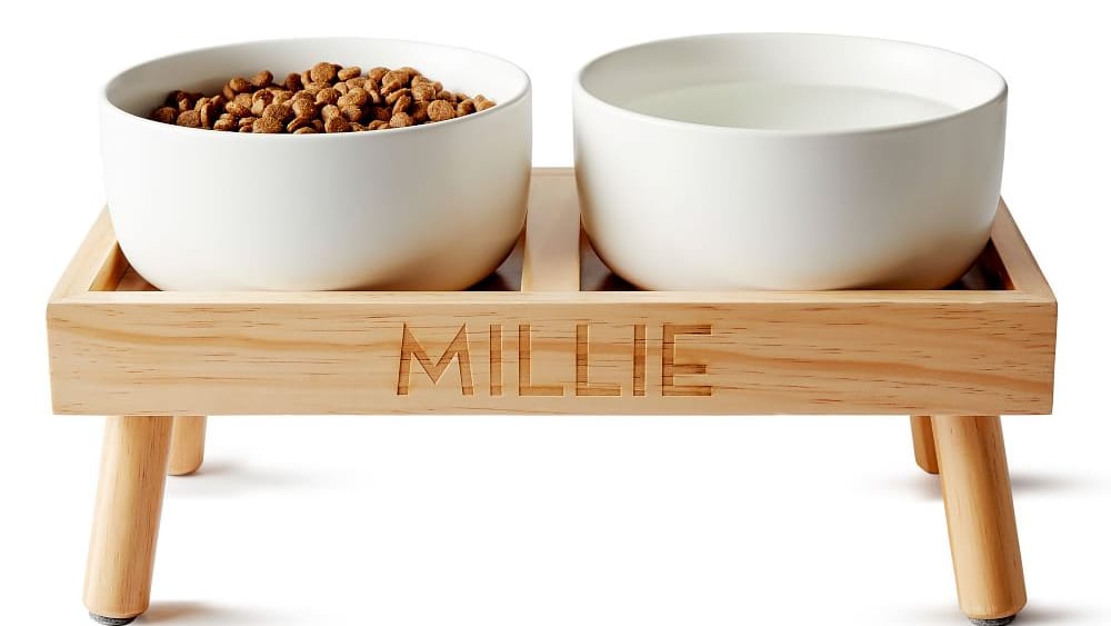 2024-10/ceramic-dog-bowls-with-wooden-stand-z_0.jpg