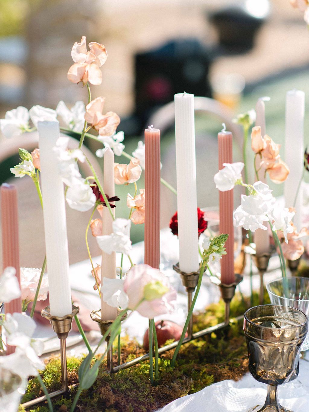 2025-03/Gardenia_AlyssaRyanPhotography-8.jpg