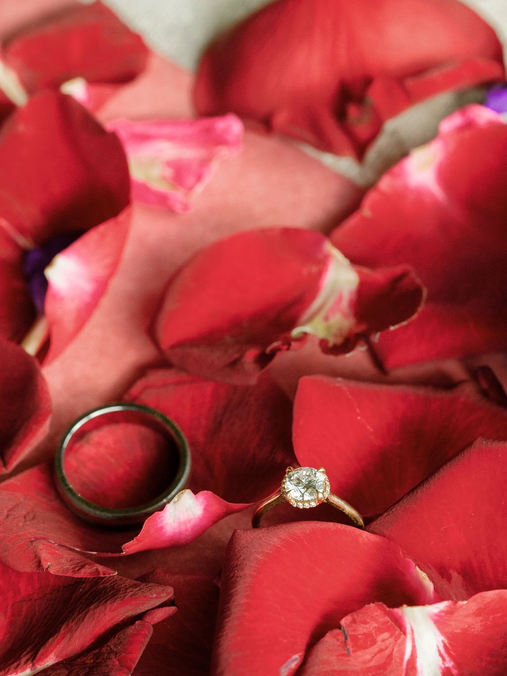2025-03/Valentines_Day_Shoot(11of230).jpg