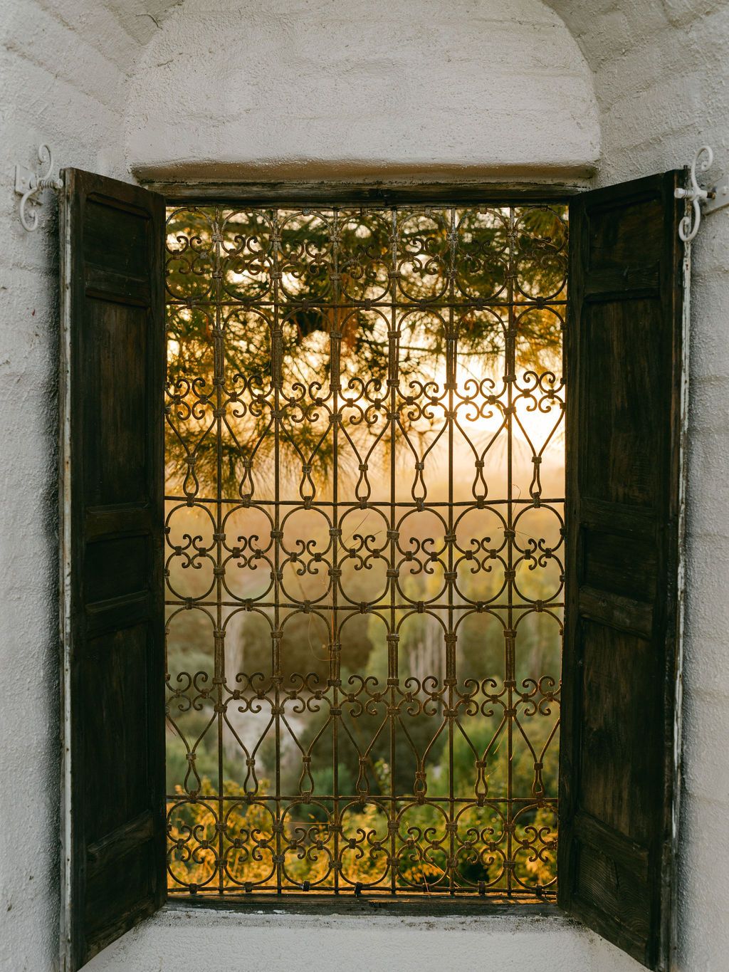 2025-08/Whispering_Rose_Ranch_Fall_2024-22.jpg