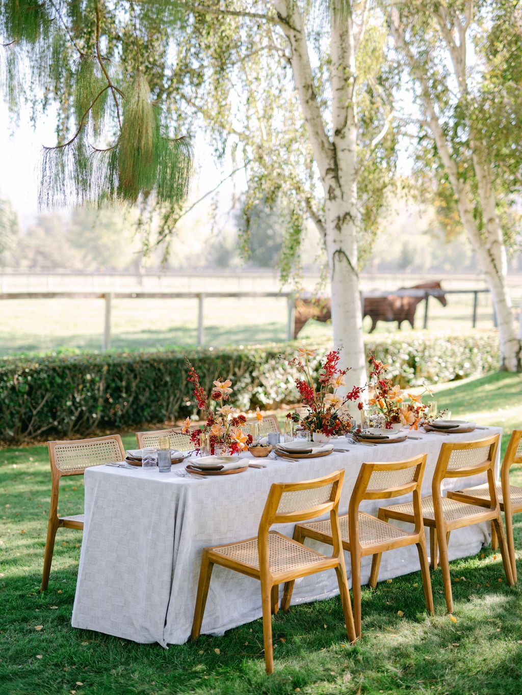 2025-08/Whispering_Rose_Ranch_Fall_2024-862.jpg
