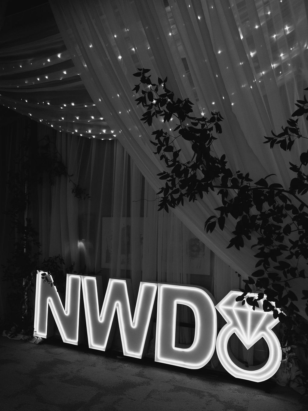 2026-01/NWD_GARDEN-PARTY_2026_0077.jpg