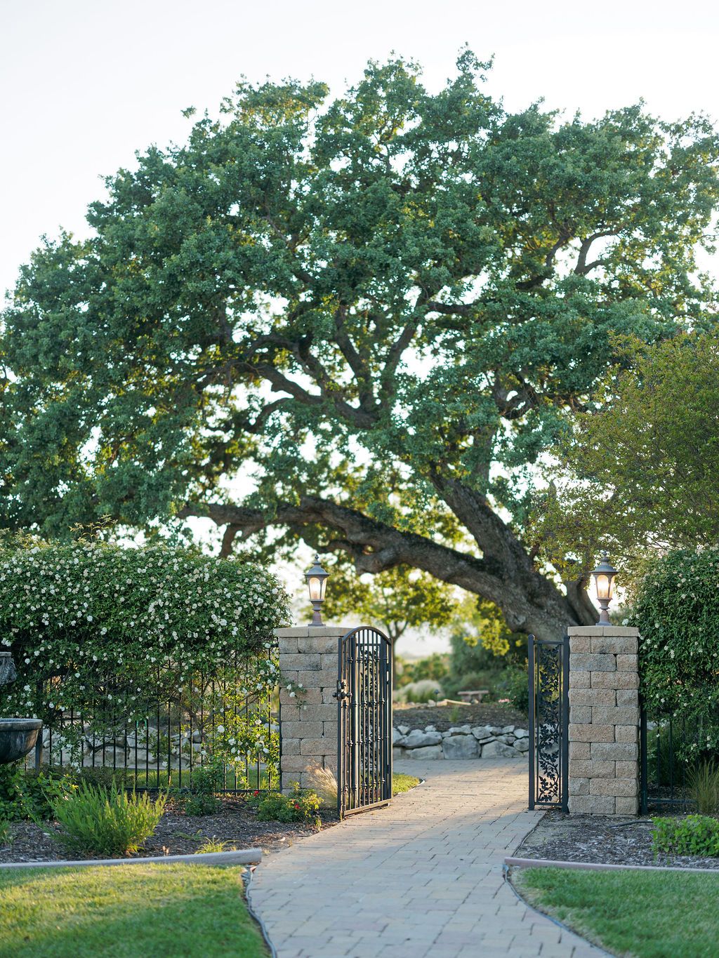 2026-03/Mira Vista Estate - 5X0A7809.jpg
