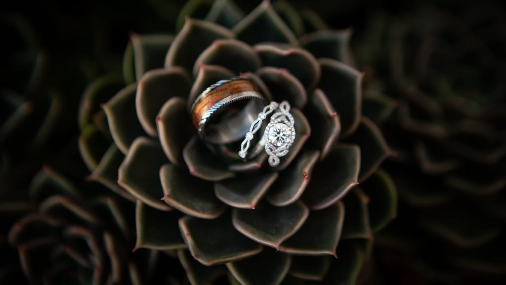 2024-12/amanda_holder_wedding_to_claud_allen_la_lomita_ranch_by_cassia_karin_photography-1002.jpg