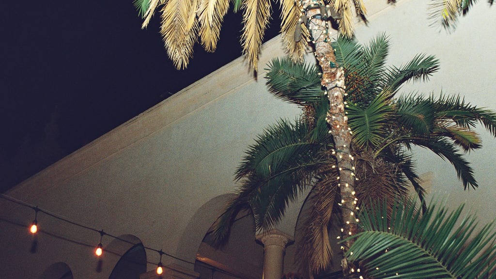 2025-03/PradoWeddingReceptionAllieLindseyPhotography(26).jpg