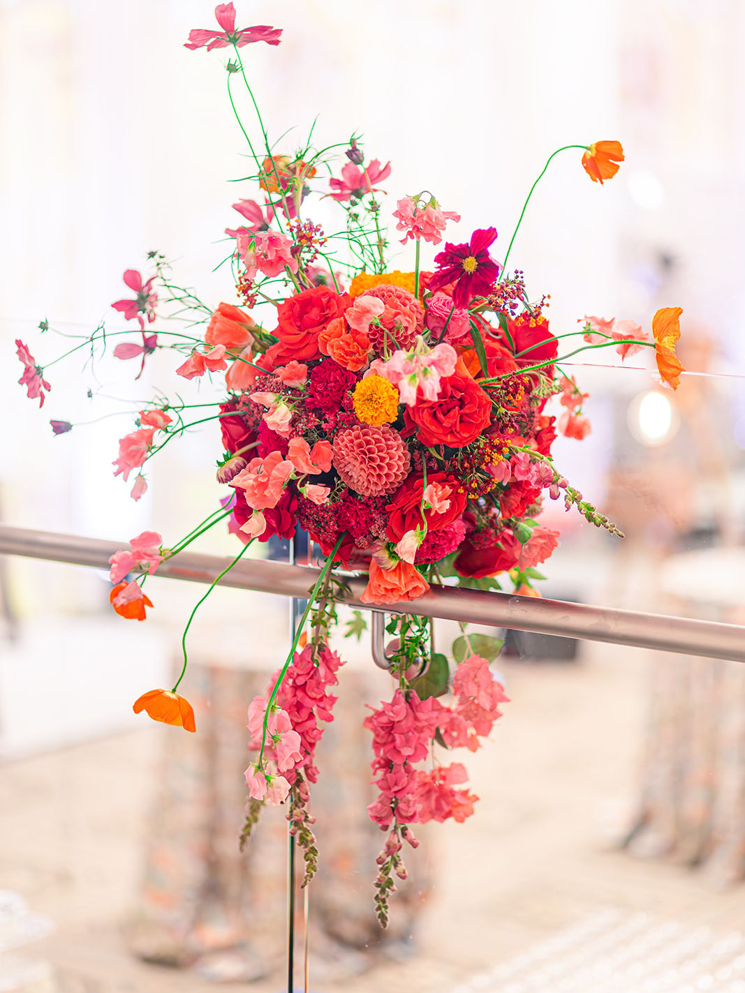 2024-07/OWD_BESTOF_2024_KATEHOLTPHOTOGRAPHY-1_websize.jpg