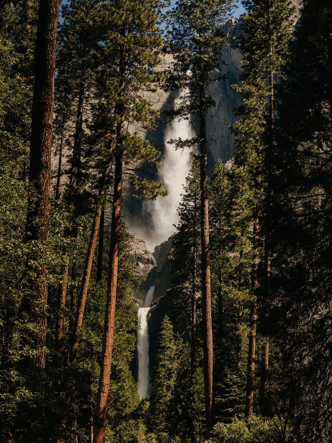 2025-02/Joceyln + Logan _ Yosemite Elopement _ Adventure and Vow-184.jpg