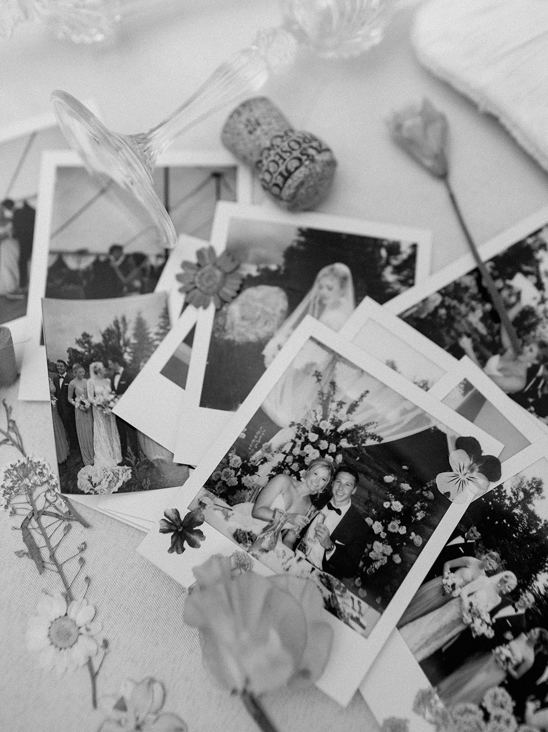 2025-03/detroit-lakes-mountain-wedding-photographer-two-birds-photography-kelyn (111 of 112)_websize.jpg