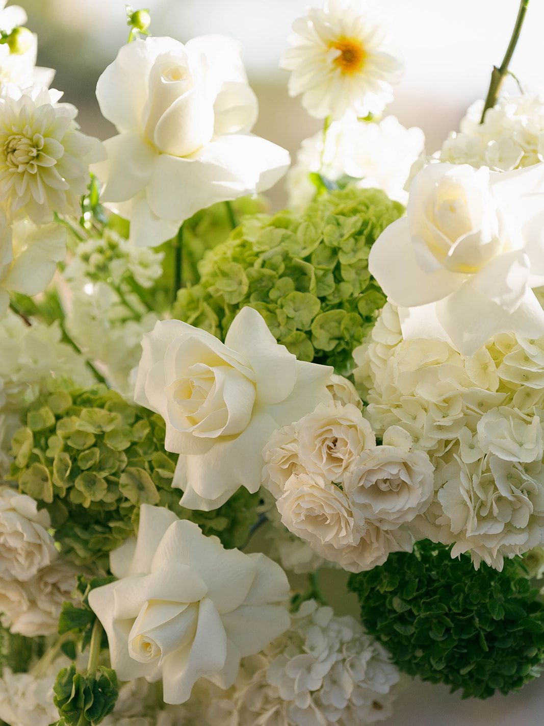 2025-07/AZB_FW25_BestEventDesign27.jpg