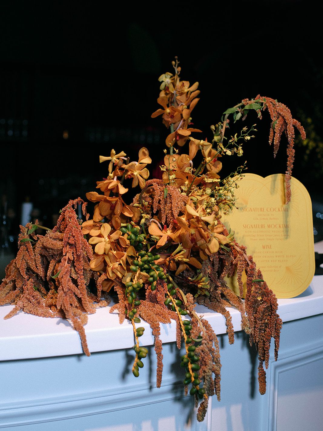 2026-02/RachaelMariePhotography-WWD-72.jpg