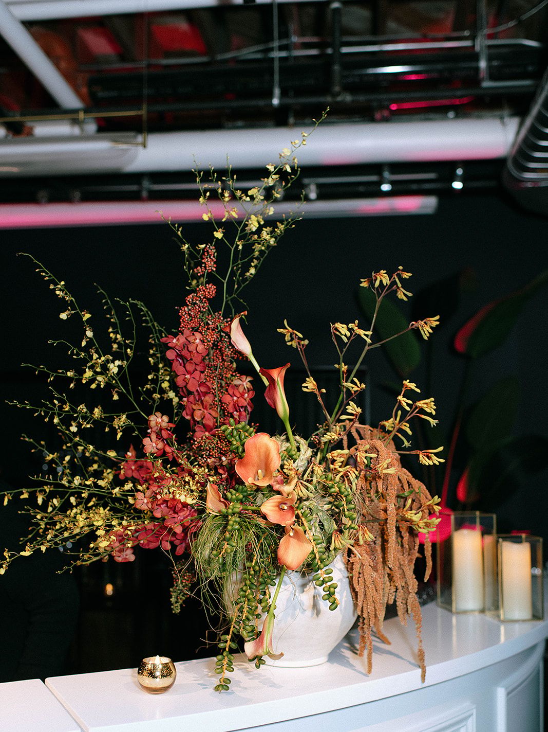 2026-02/RachaelMariePhotography-WWD-75.jpg