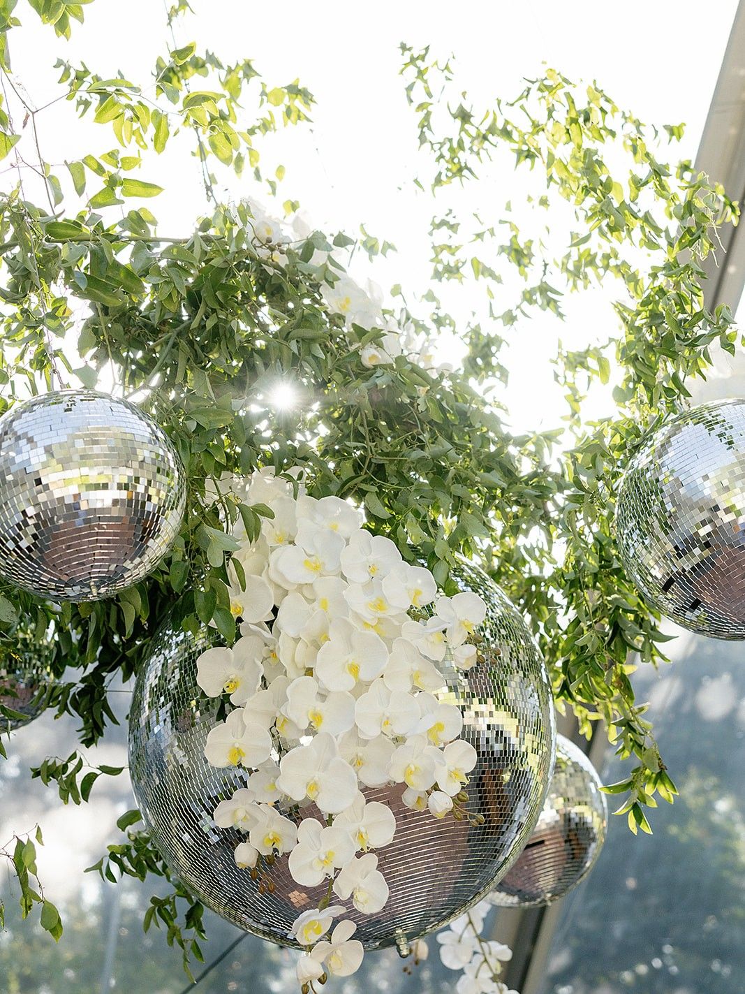 2026-03/Wedding-Day-650_0.jpg