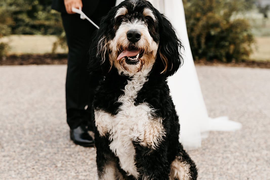 2024-07/anna-and-hunter-wedding-654_websize.jpg