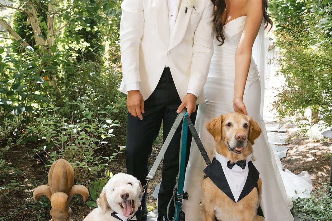 2025-11/Seattle-Wedding-(766 of 1253)_websize.jpg