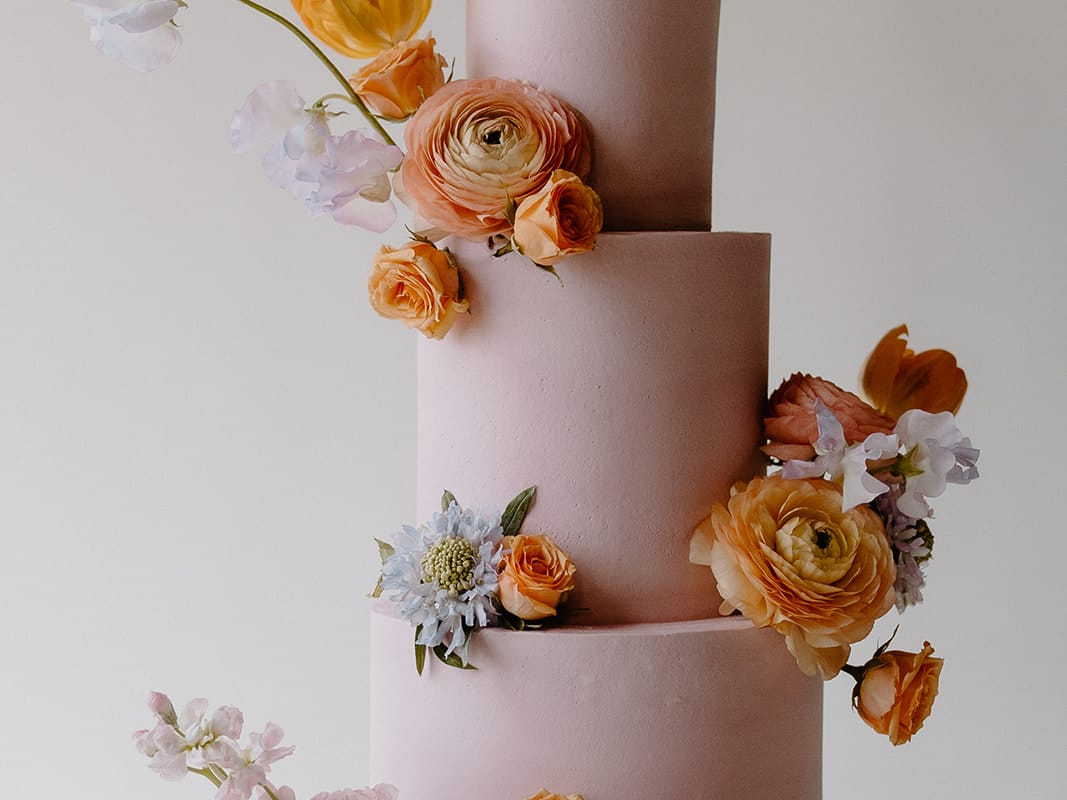 2024-05/pink cake with oragne.jpeg