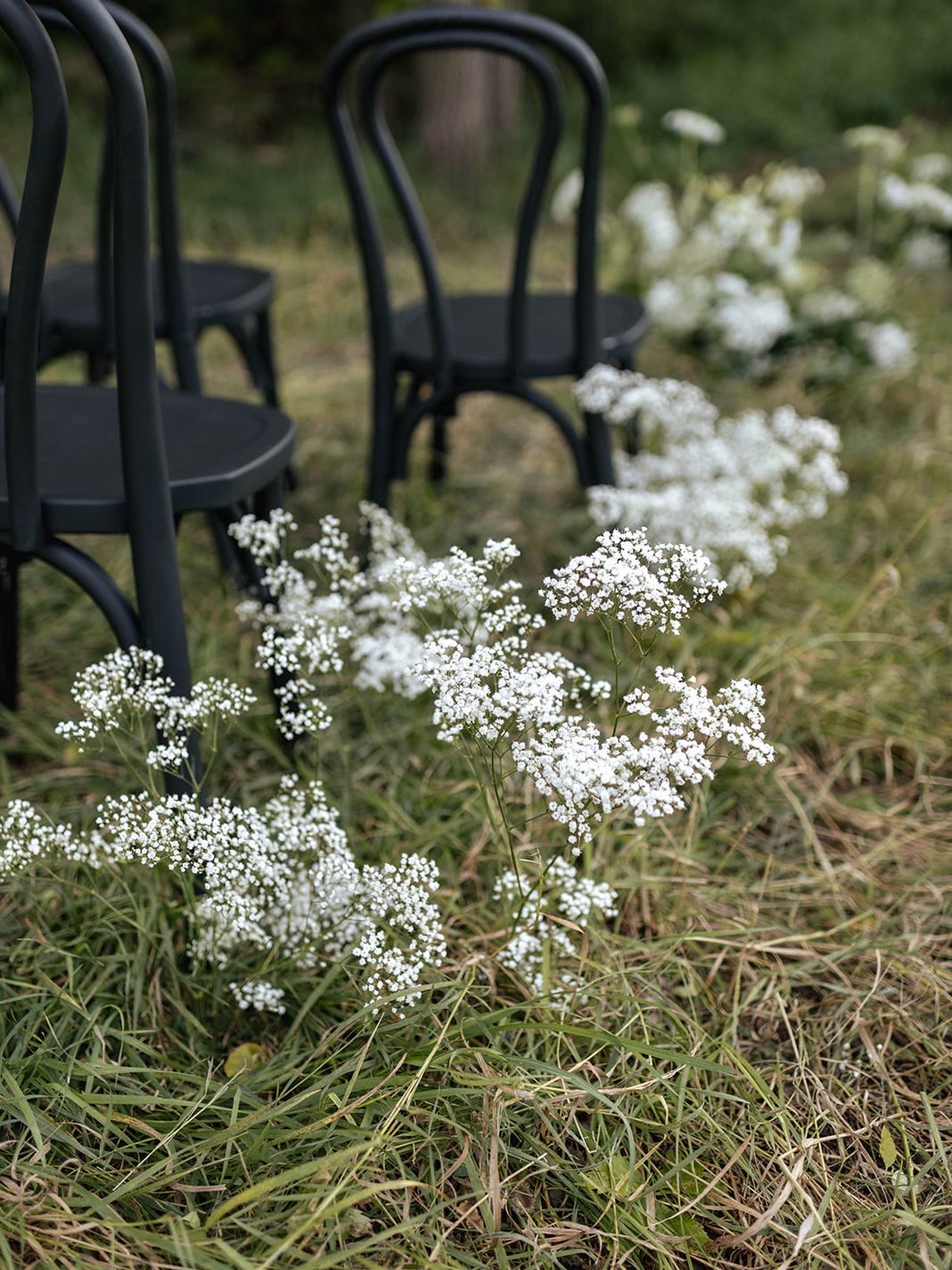 2024-04/Huff Hills styled shoot 2023 - 99_websize.jpg