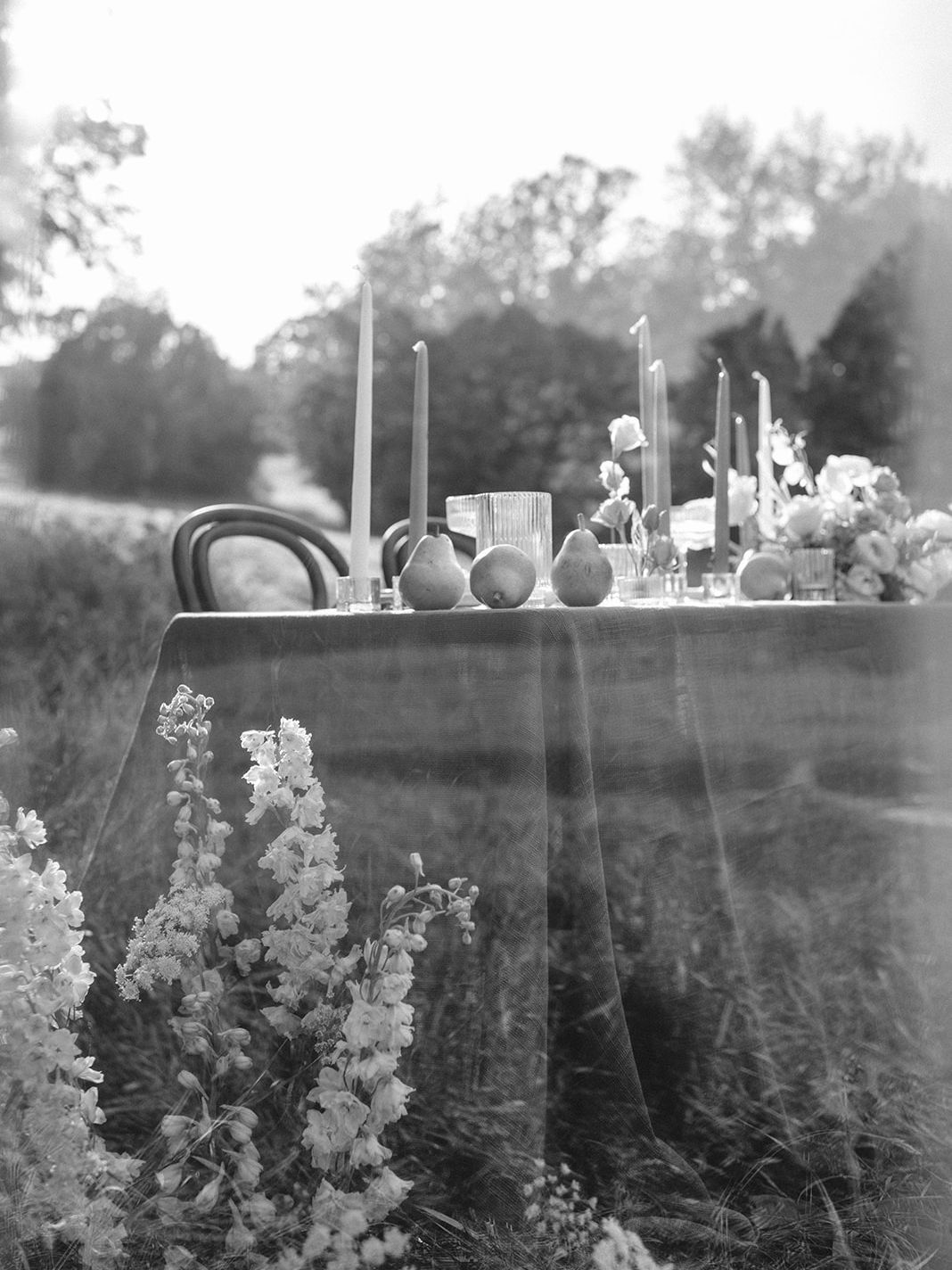 2024-04/Huff Hills styled shoot 2023 - 78_websize.jpg