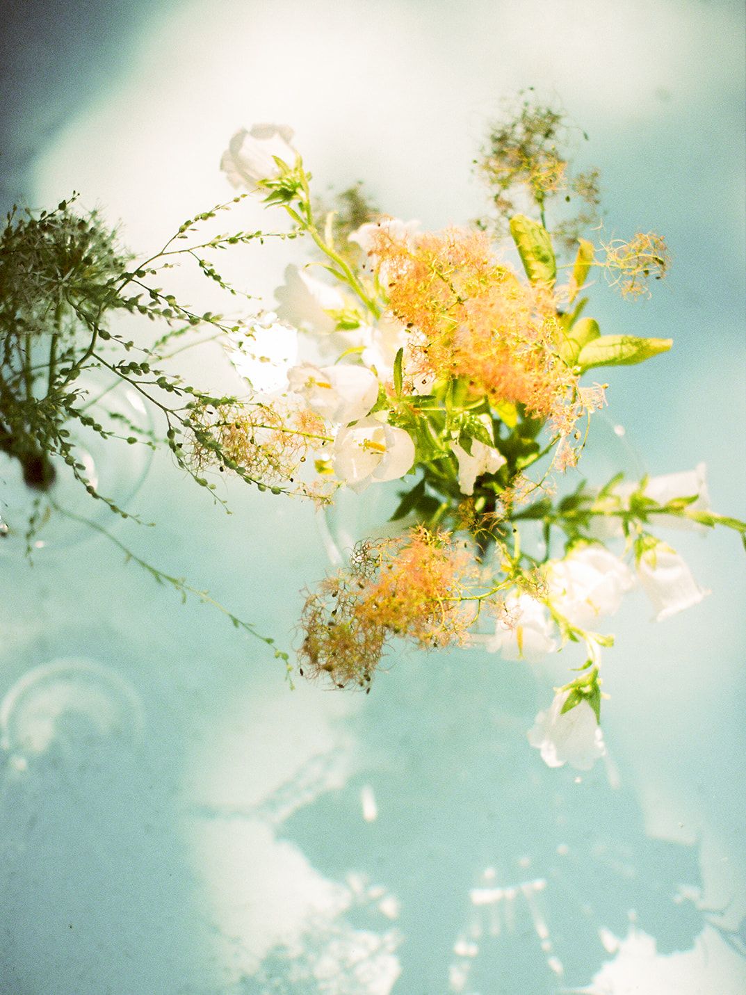 2025-07/Emily + Kevin wedding - film-171_websize.jpg