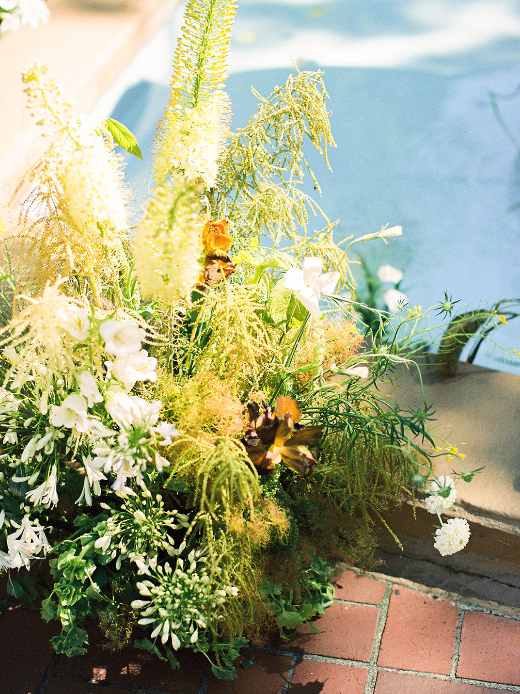 2025-07/Emily + Kevin wedding - film-174_websize.jpg