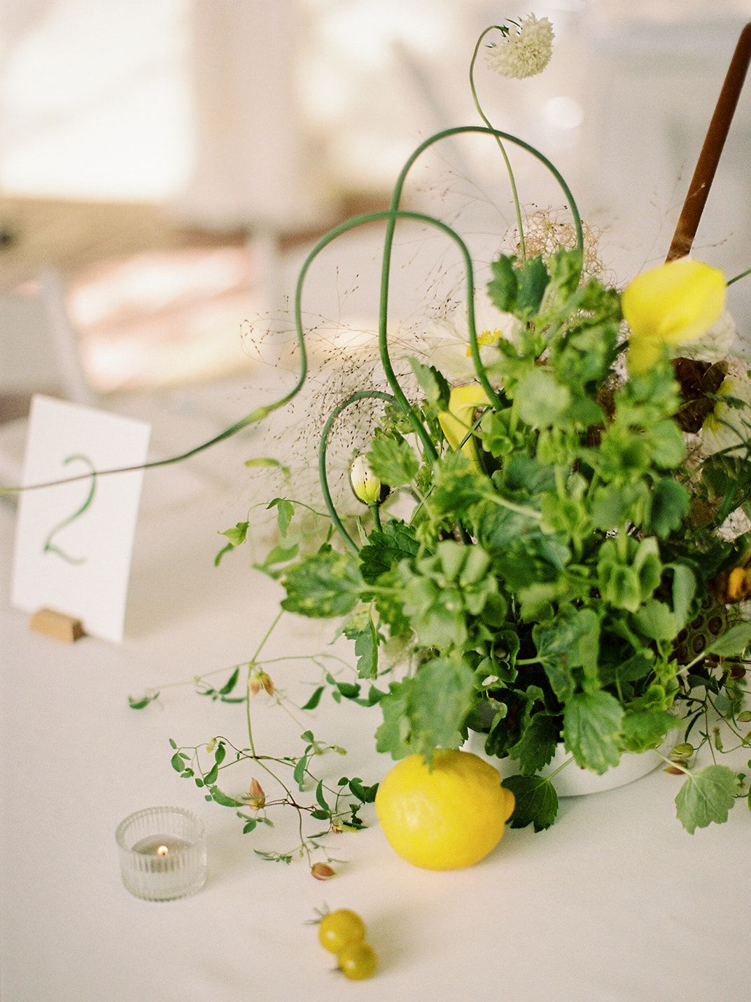 2025-07/Emily + Kevin wedding - film-214_websize.jpg