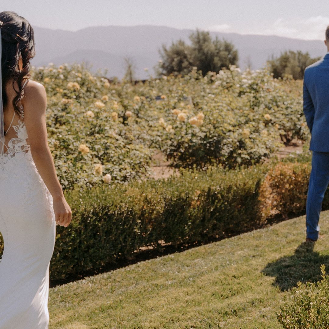 Ali Beck Photography