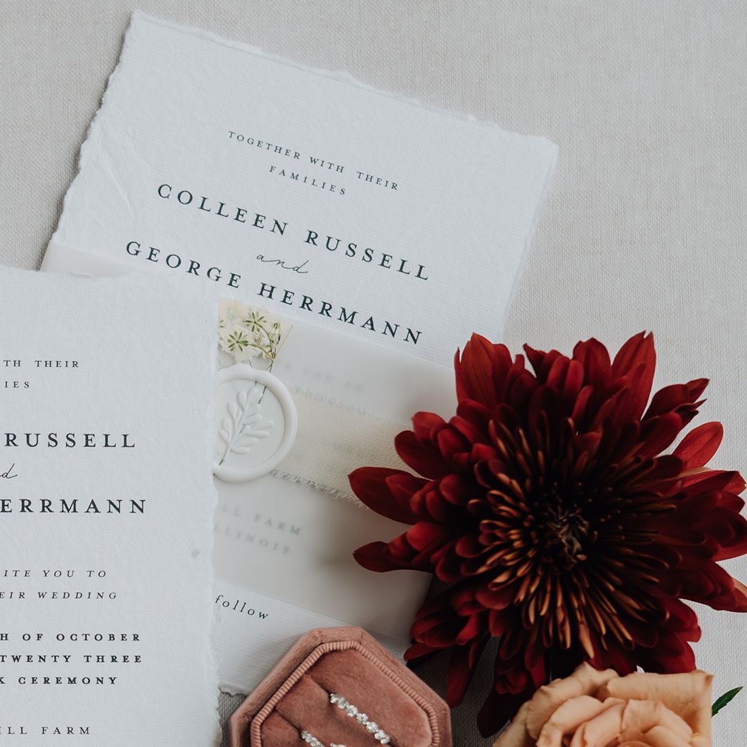 Anna Brace Photography