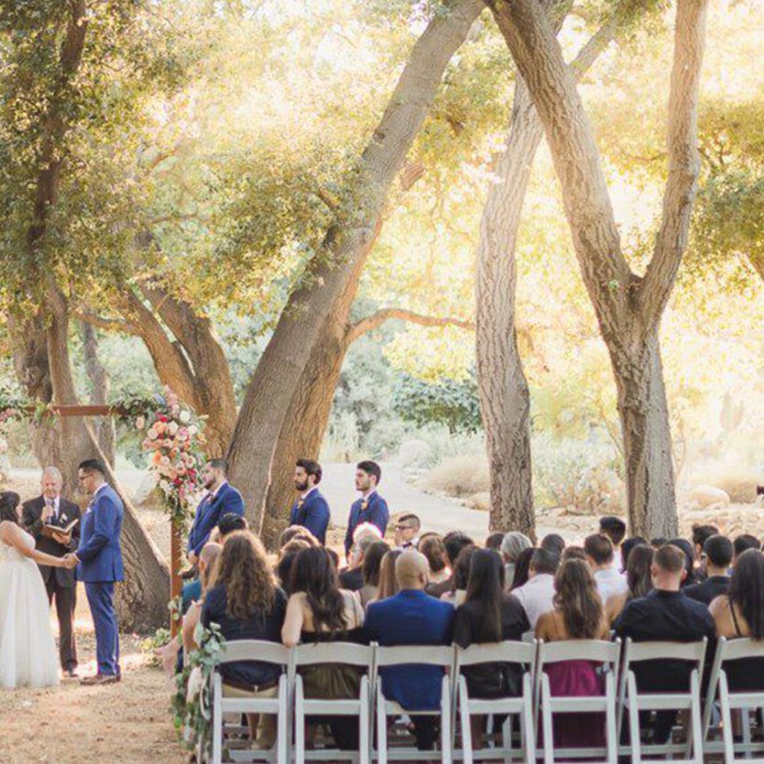 Sun & Sparrow Photography