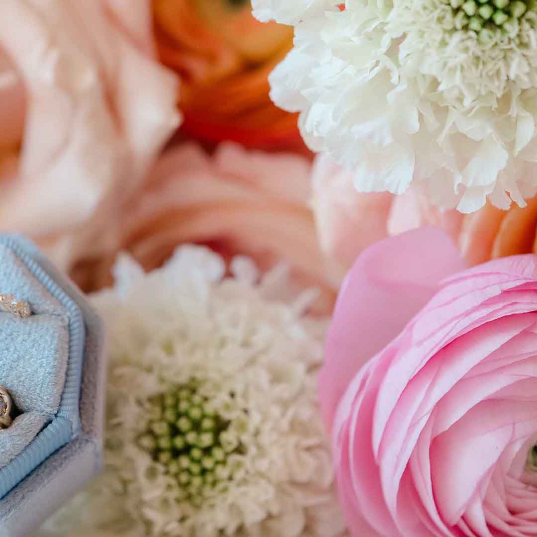 Craig Petermen Photography & Videography