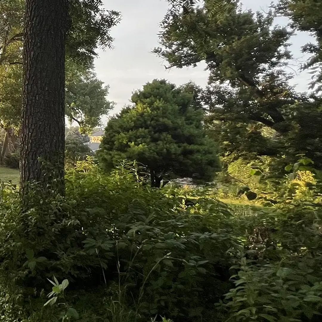 Lilac Hill Weddings & Events