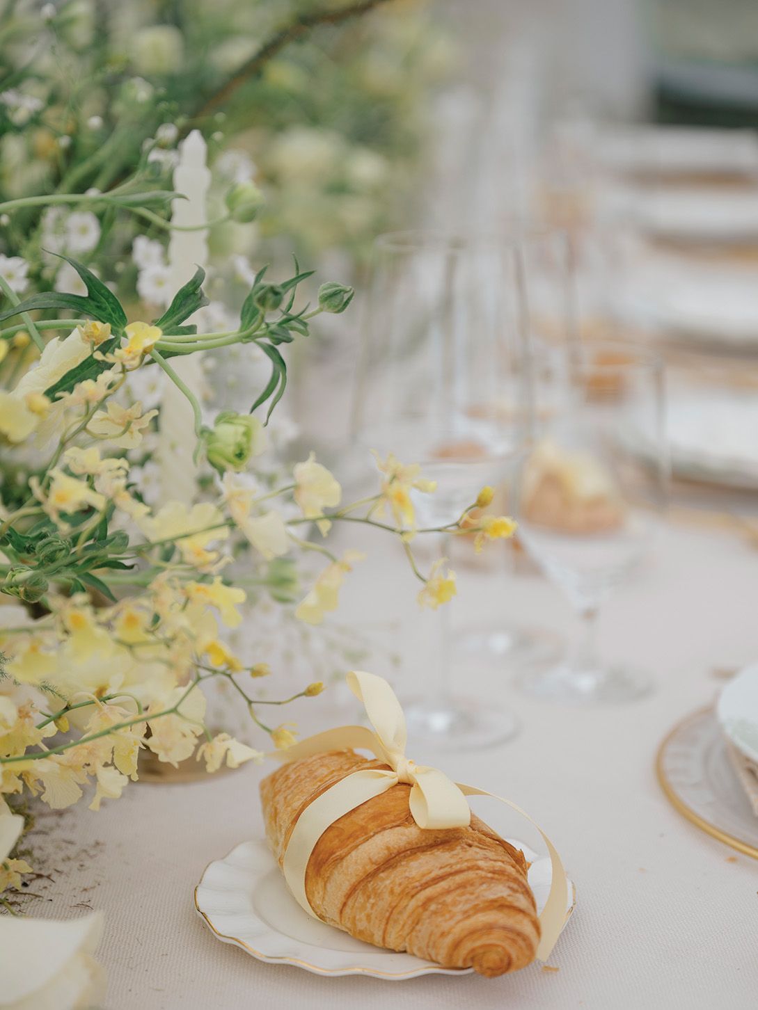 2026-01/Zenia Omaha - Anna Brace Photography-4 (1).jpg