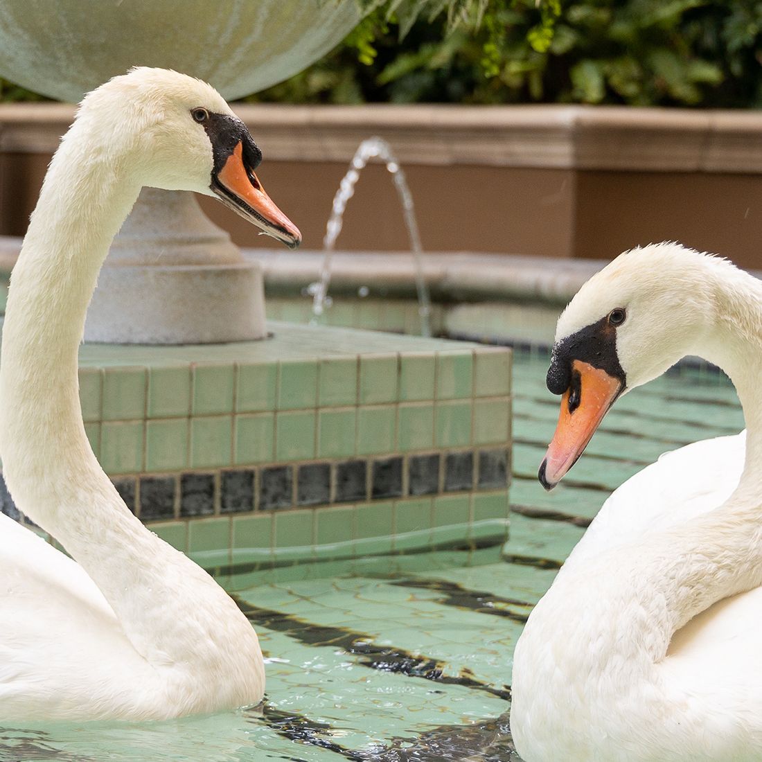 cover.Gloria Mesa Photography- Four Seasons Beverly Hills 057.jpg