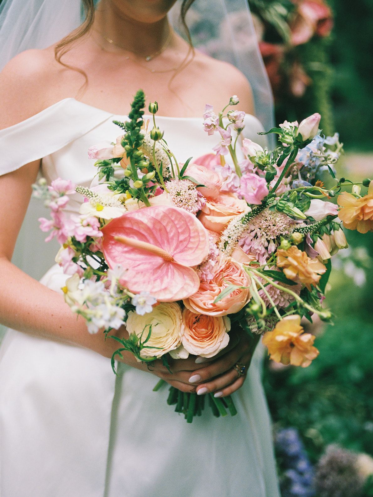 2026-07/A5.jpg