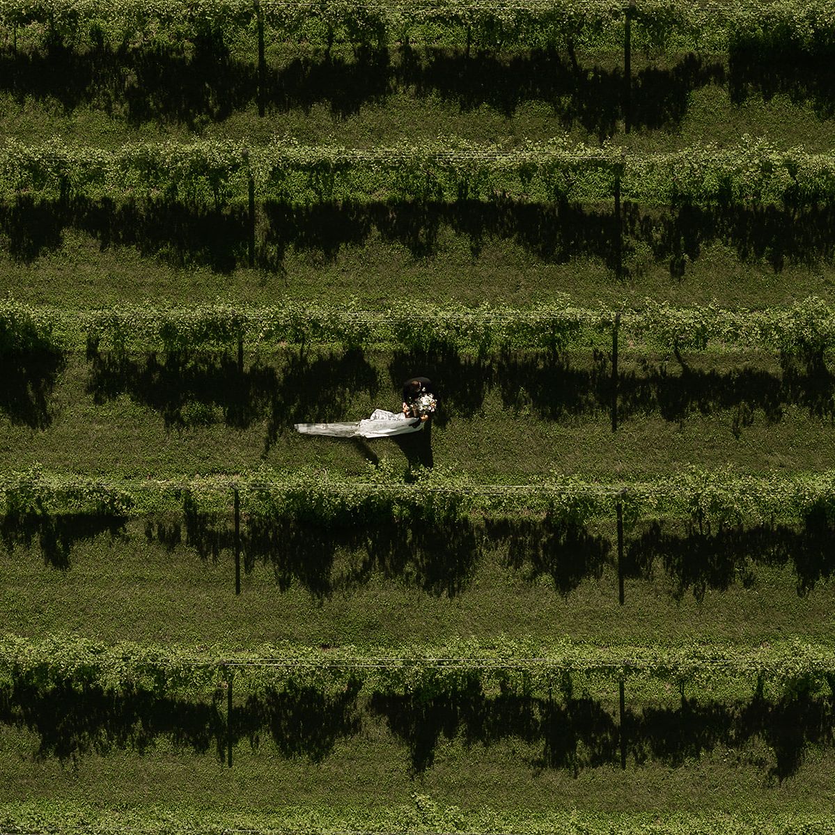 DRONE-10_websize.jpg