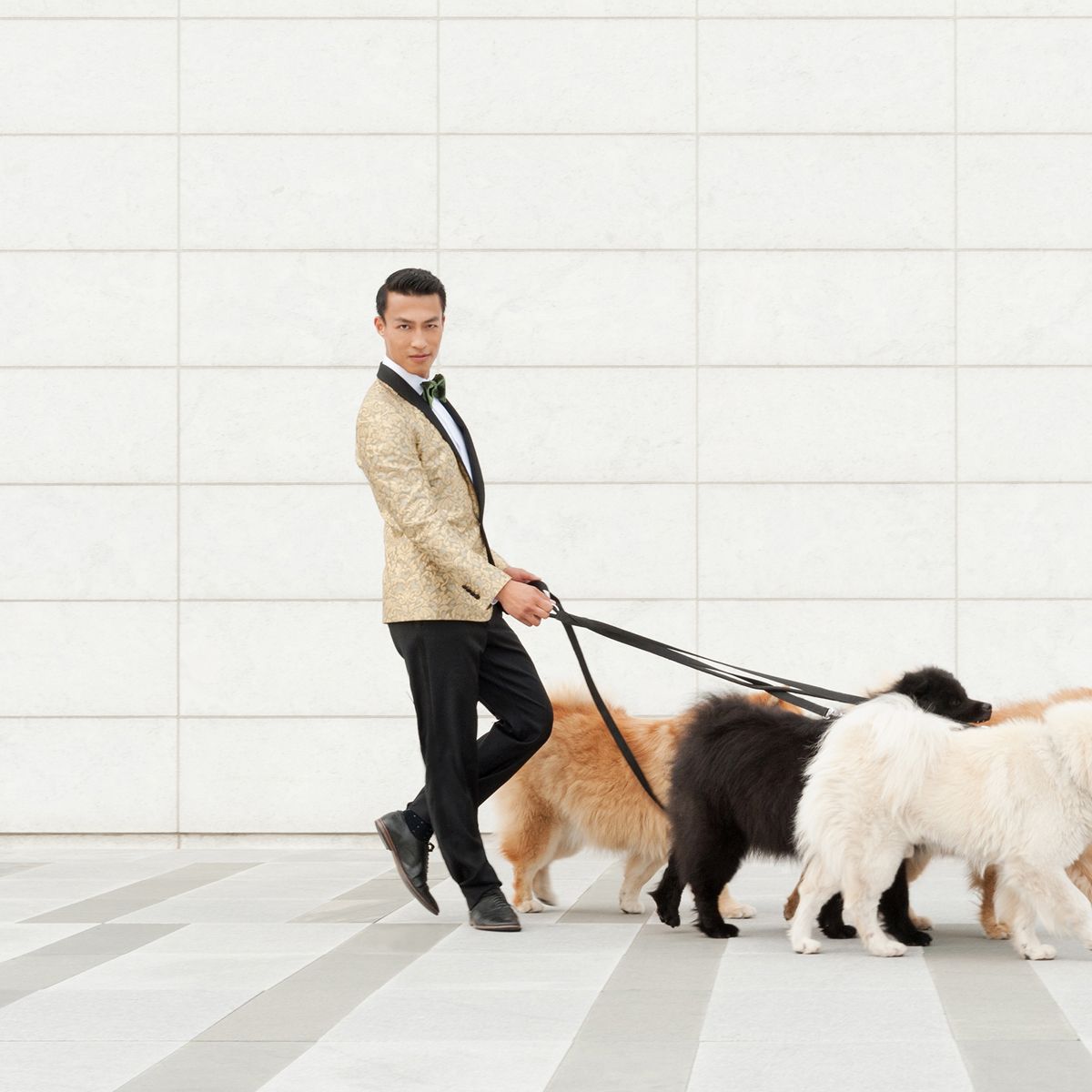 field/sandbox_californiaweddingday_com_239elwb01_blackmesh_com/2018/image/YEARoftheDOG_036.jpg
