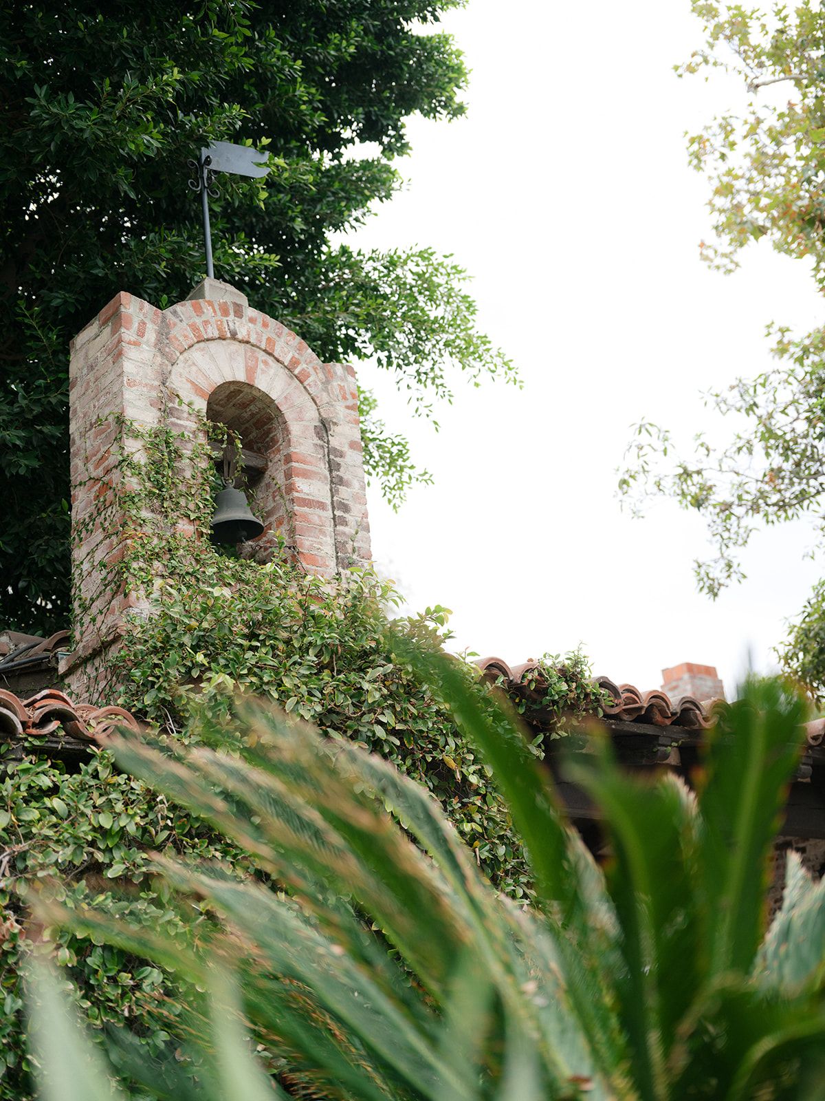 2025-07/J&M-Hummingbird-Nest-Ranch-Wedding-001_0.jpg