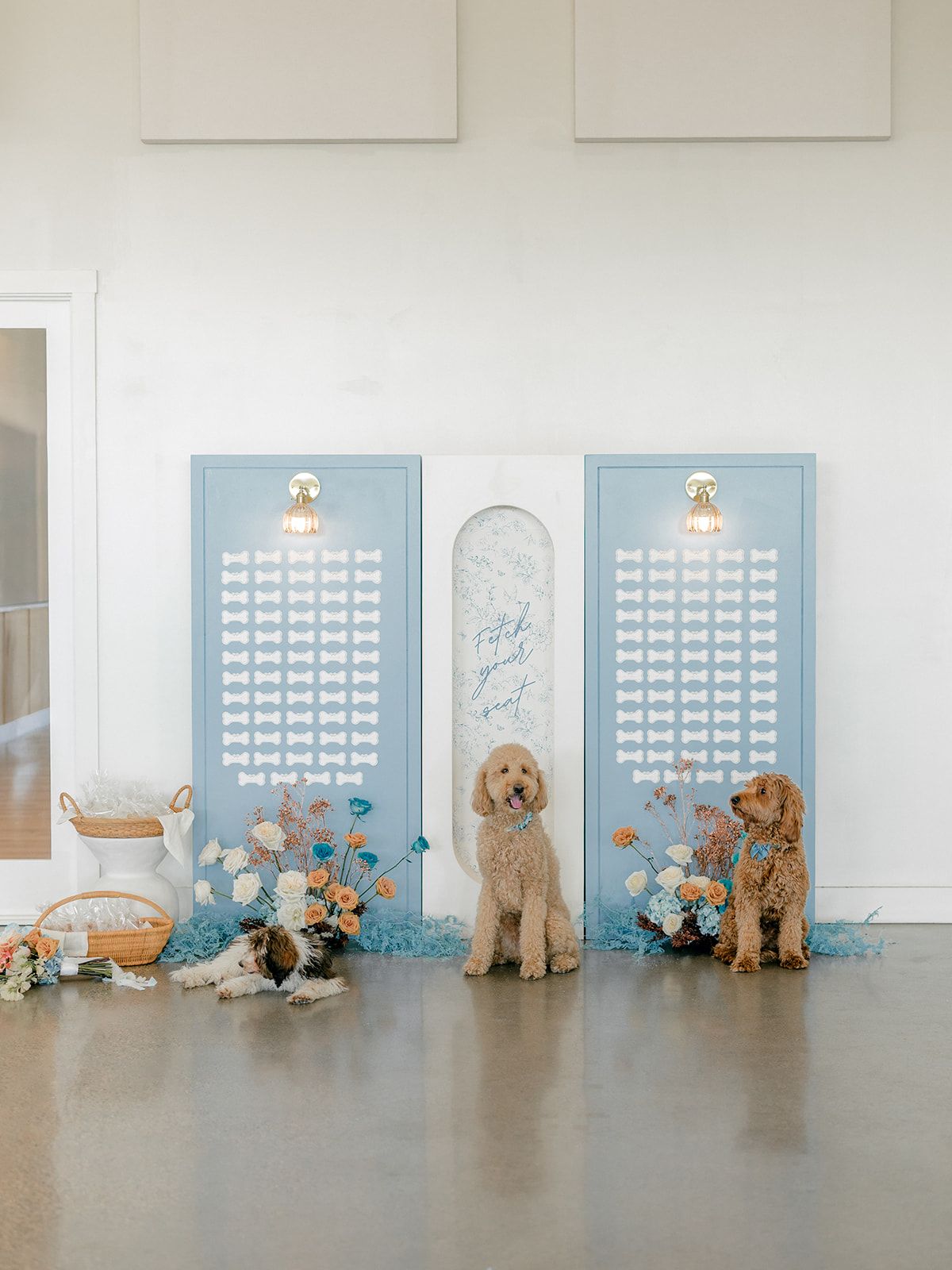 2025-08/Lauren Baker Photography_Pantone and Poodles Editorial-47_websize.jpg