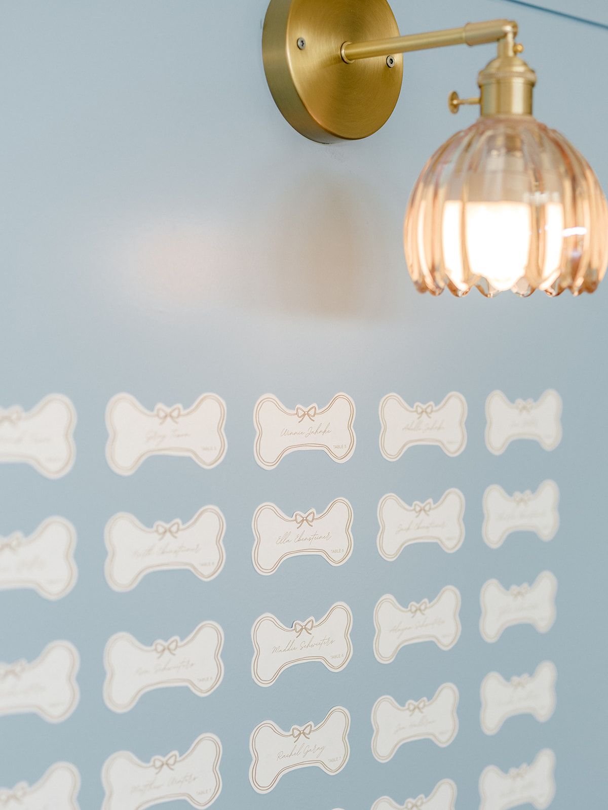2025-08/Lauren Baker Photography_Pantone and Poodles Editorial-14_websize.jpg