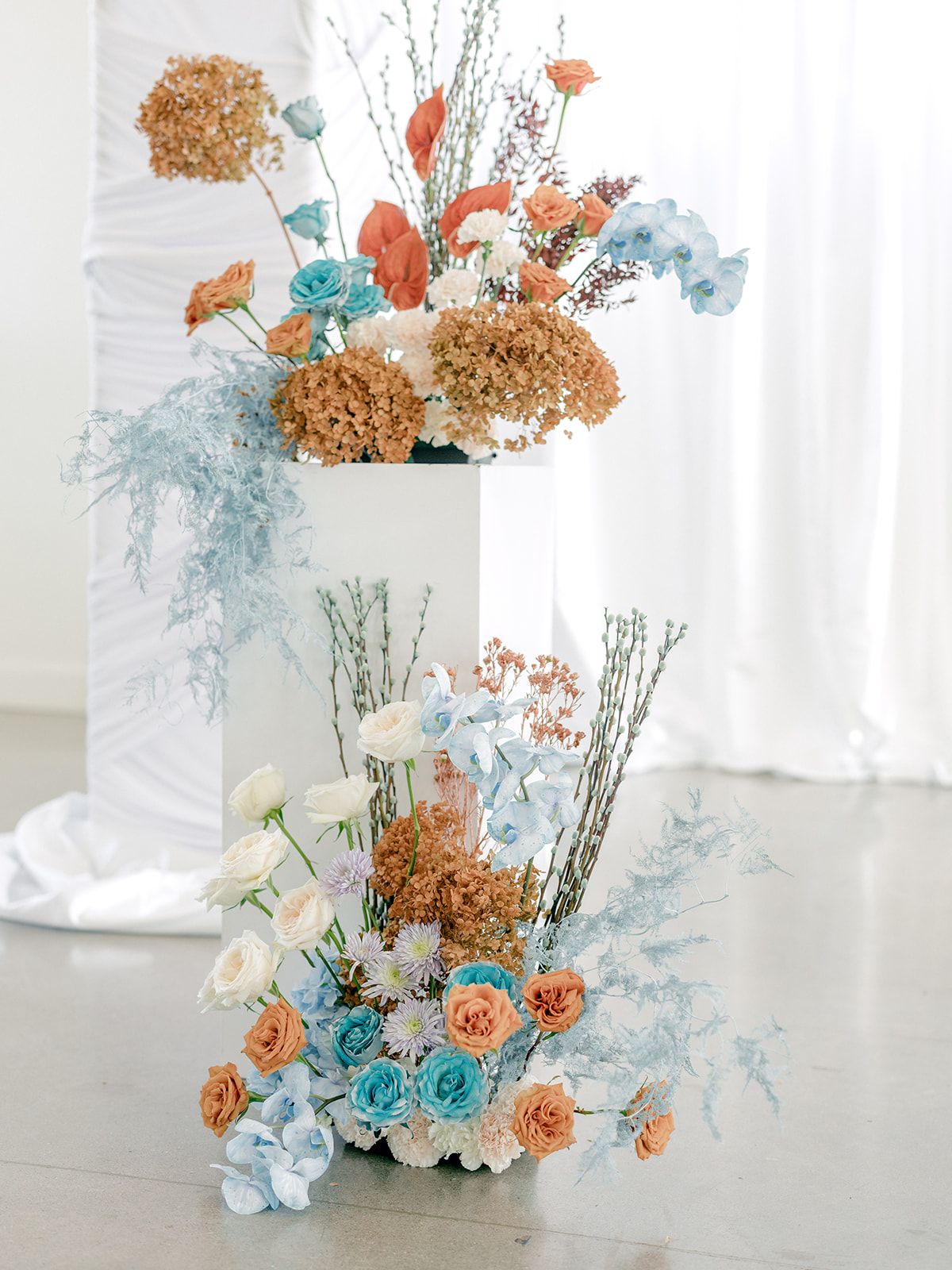 2025-08/Lauren Baker Photography_Pantone and Poodles Editorial-18_websize.jpg