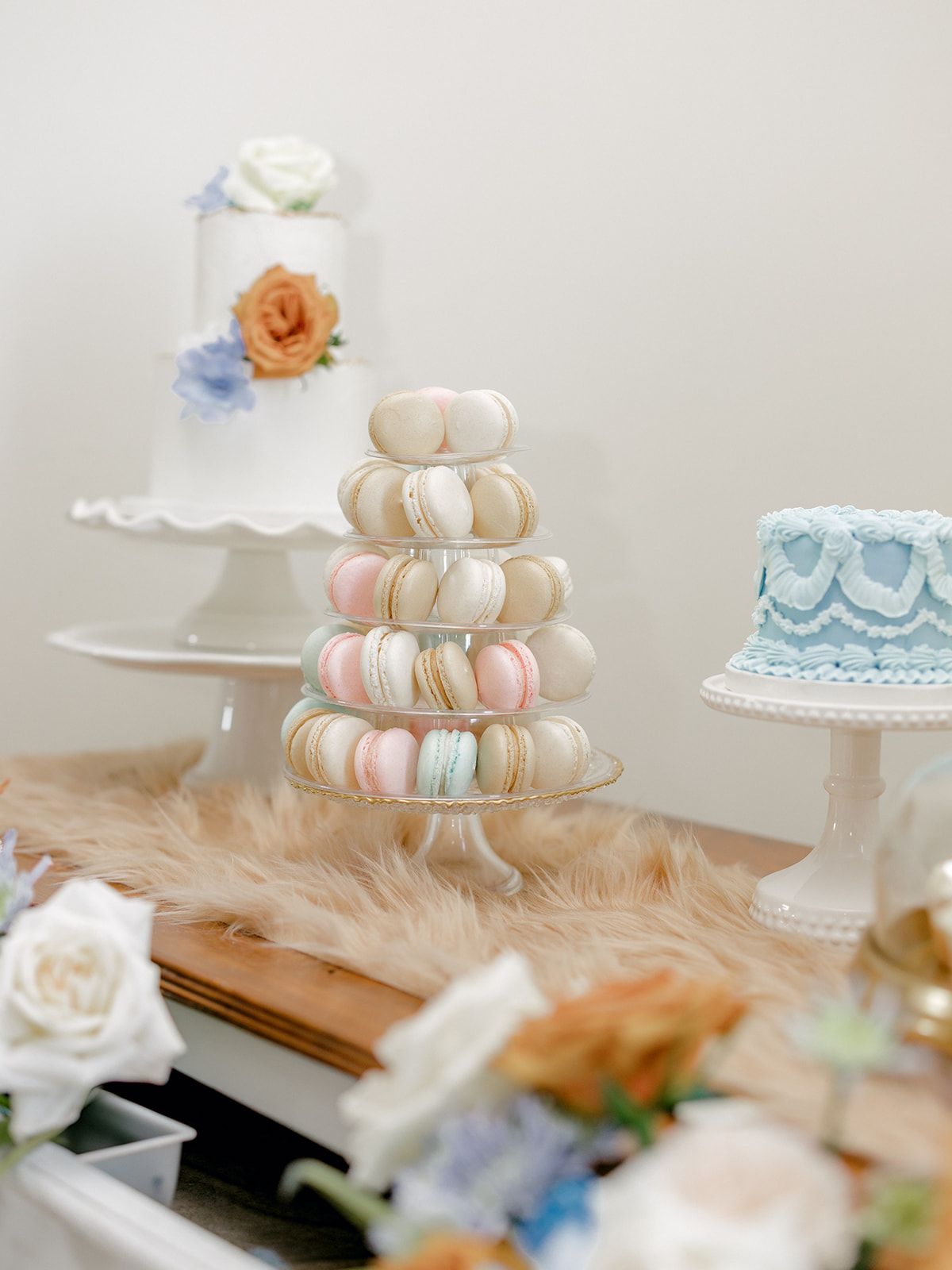 2025-08/Lauren Baker Photography_Pantone and Poodles Editorial-32_websize.jpg