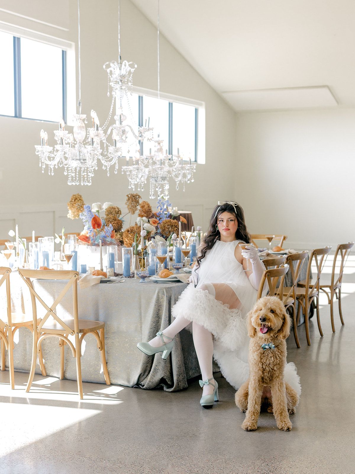 2025-08/Lauren Baker Photography_Pantone and Poodles Editorial-60_websize.jpg