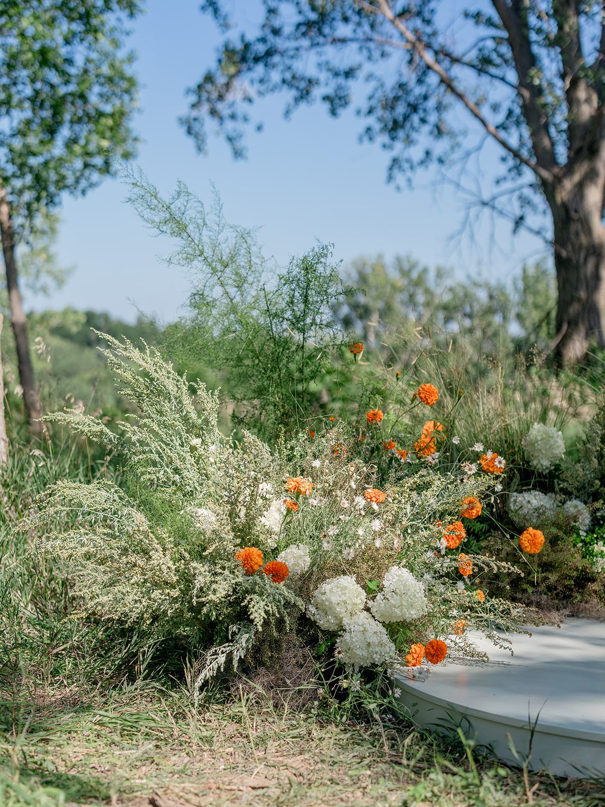 2025-11/2025.08.12 Cultivating Beauty Workshop-Lauren Baker Photography-369_websize.jpg