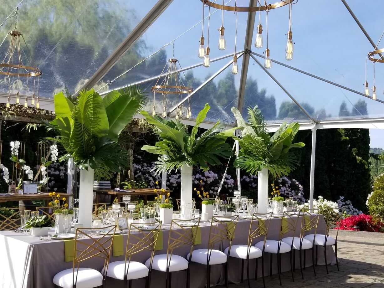 2023-07/Chateau Lill tent 20190507_094839.jpg