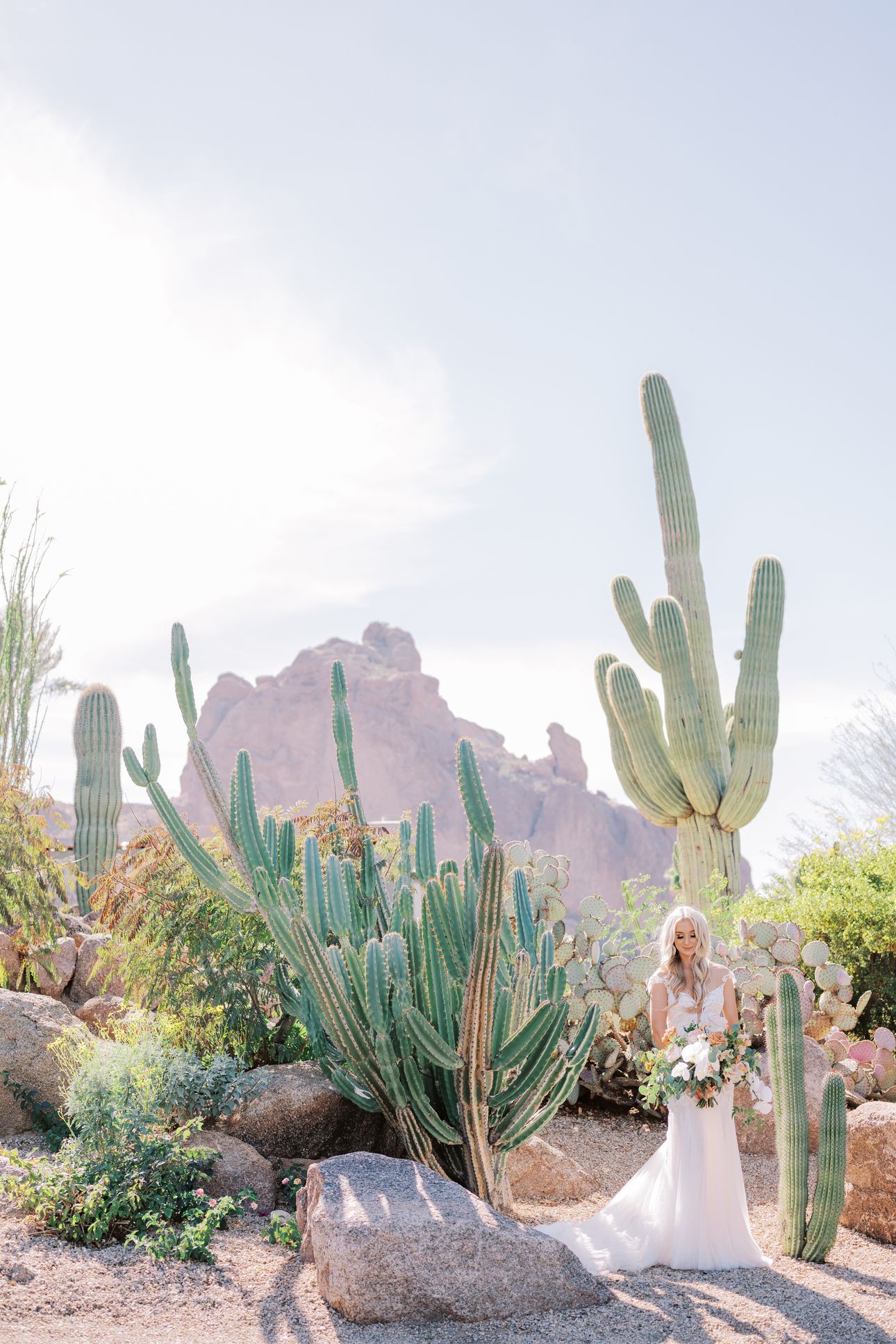 2025-11/Bride in desert.JPG