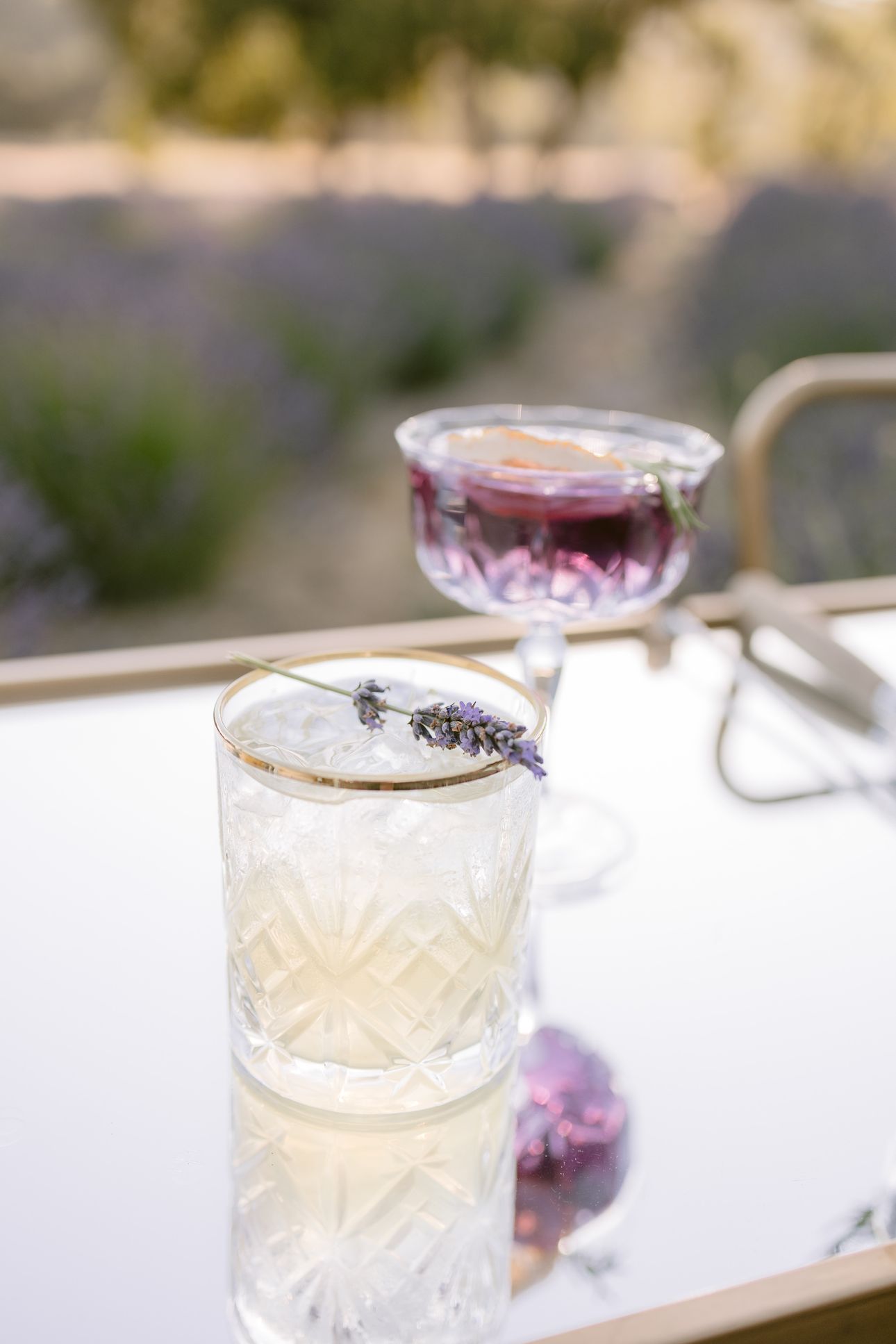 2025-08/j1730_lavender-shoot24_0409.jpg