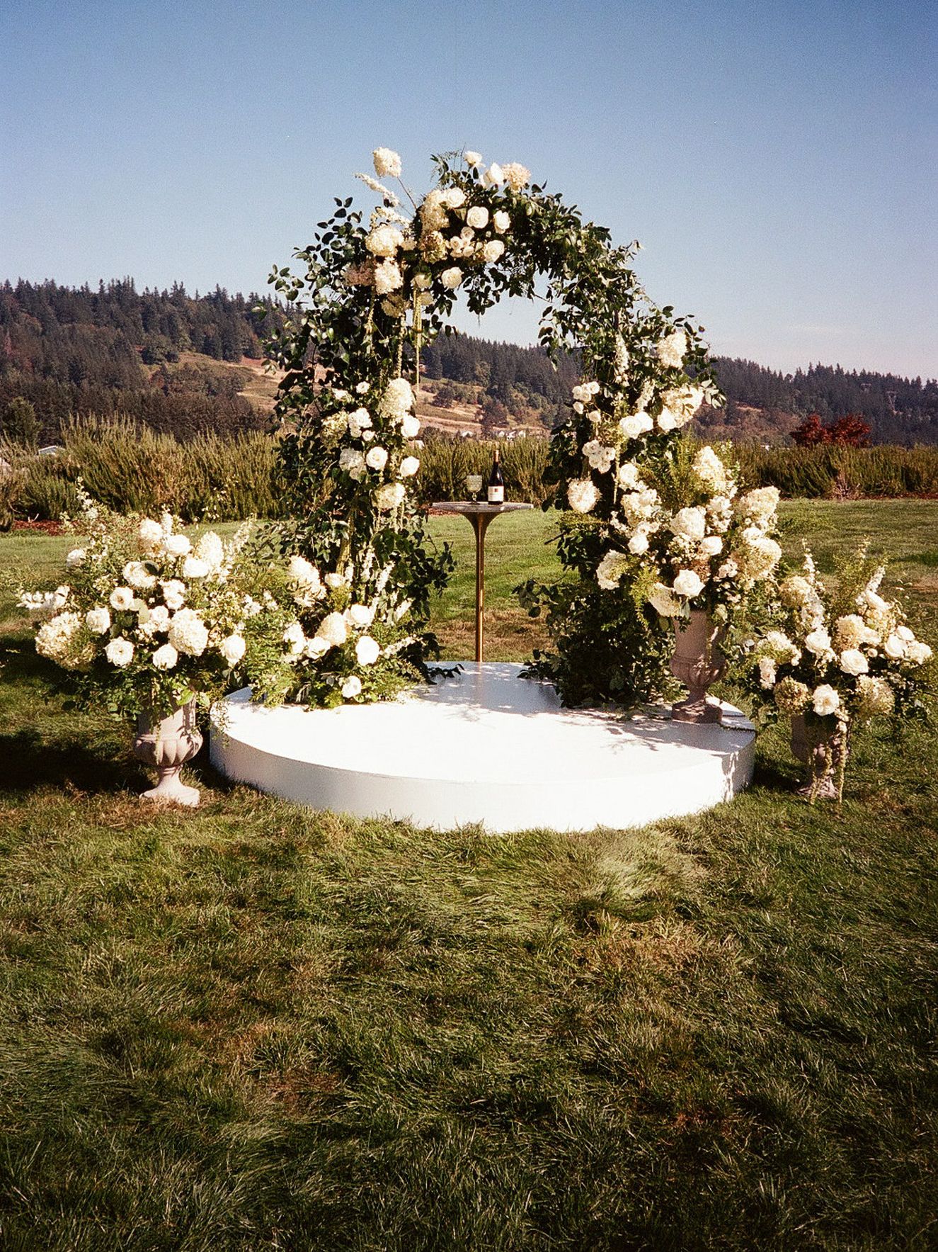 2026-08/EMILY B. PHOTO CO. -- Oregon Wedding Photographer -- Lindsey + Scott -- Chateau De Harpe -- FILM-16.jpg
