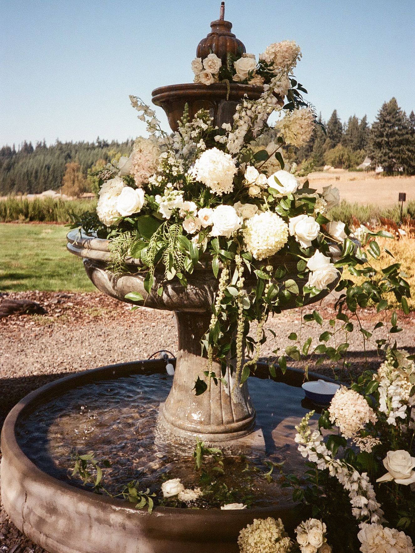 2026-08/EMILY B. PHOTO CO. -- Oregon Wedding Photographer -- Lindsey + Scott -- Chateau De Harpe -- FILM-17.jpg