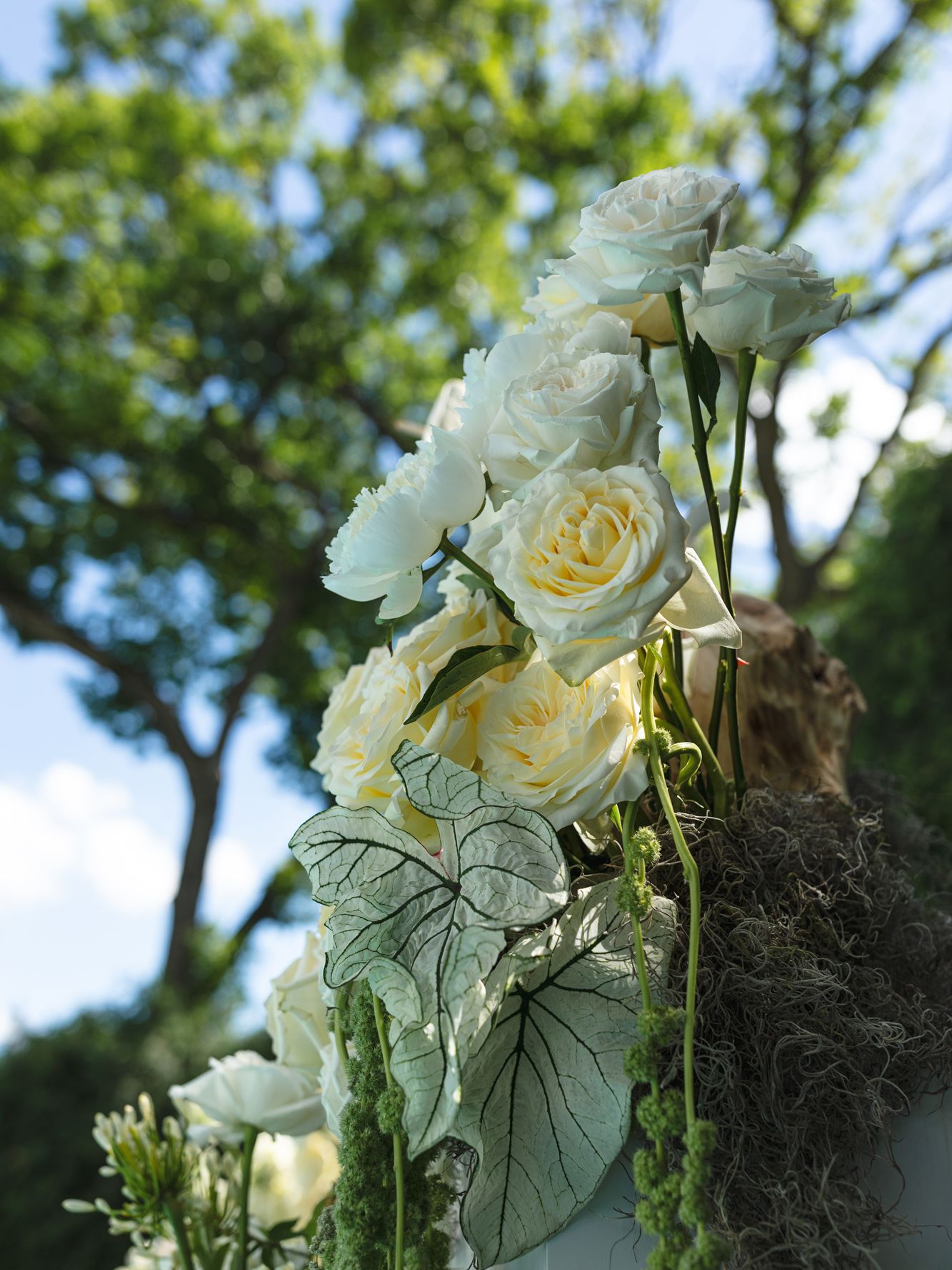 2025-11/PrivateEstateIntimateWeddingEditorial18391.jpg