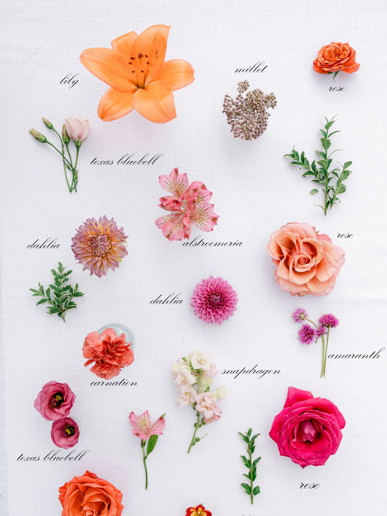 2026-01/RIC_5218_1.jpg