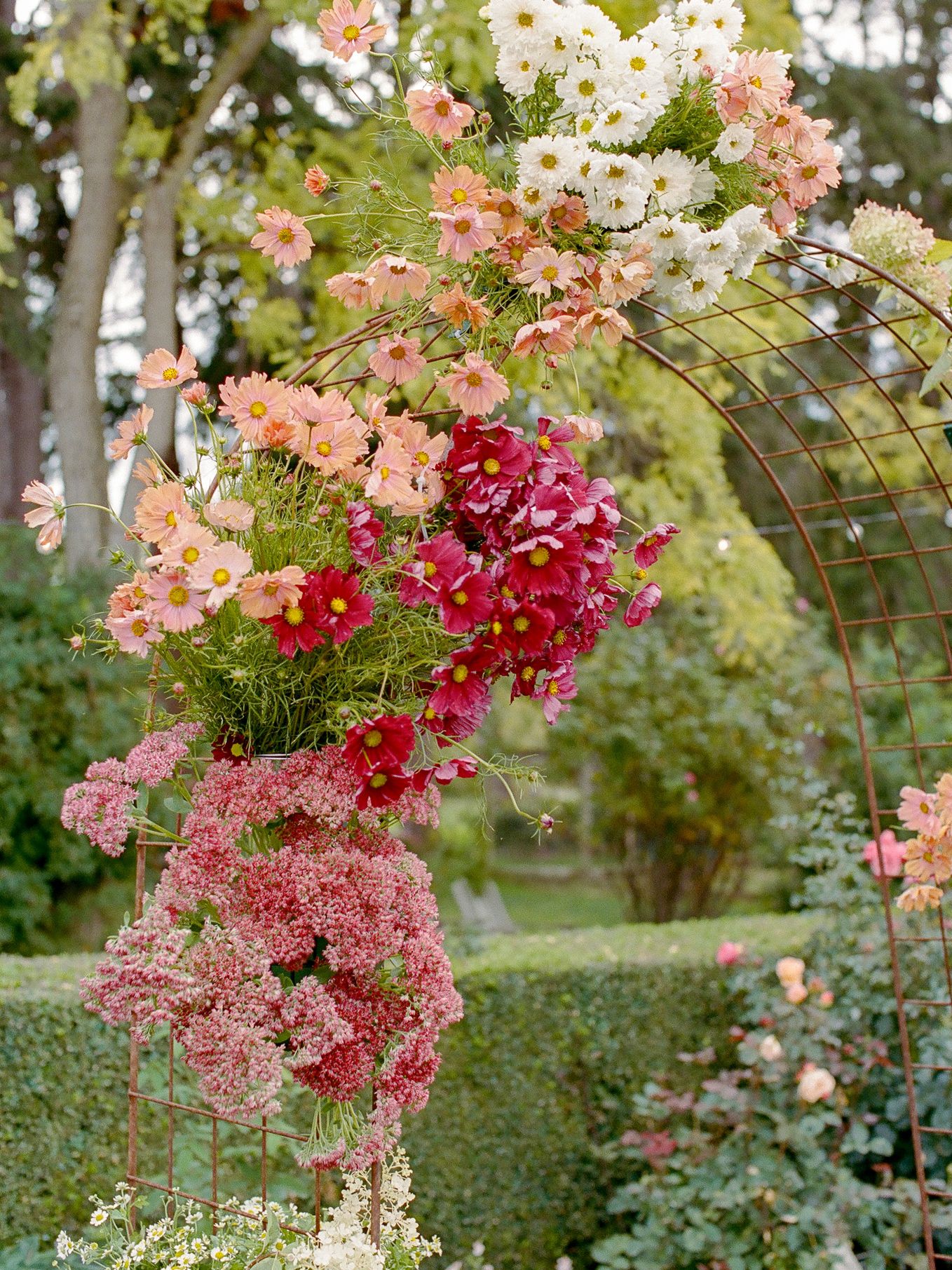 2024-08/Cosmo Wedding at Christiansons Nursery - Kerry Jeanne Photography - 67.jpg